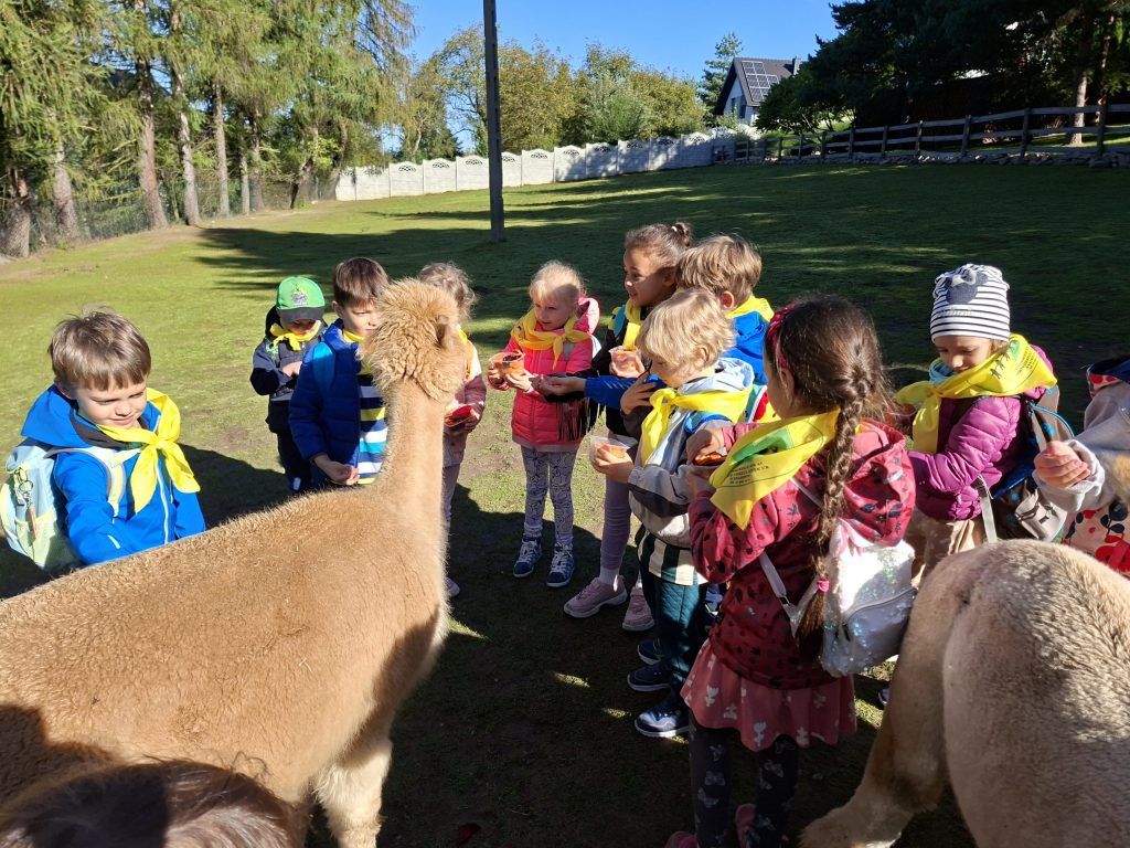 Wycieczka 6-latków do&nbsp;Mini ZOO